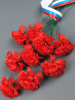 ЛИКВИДАЦИЯ Гвоздика одиночная 35см