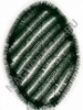 8025